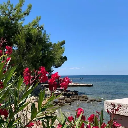 Valentina Apartament